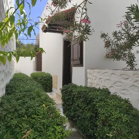 سيكين كوناكلاش