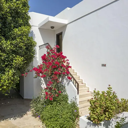 セキン コナクラー