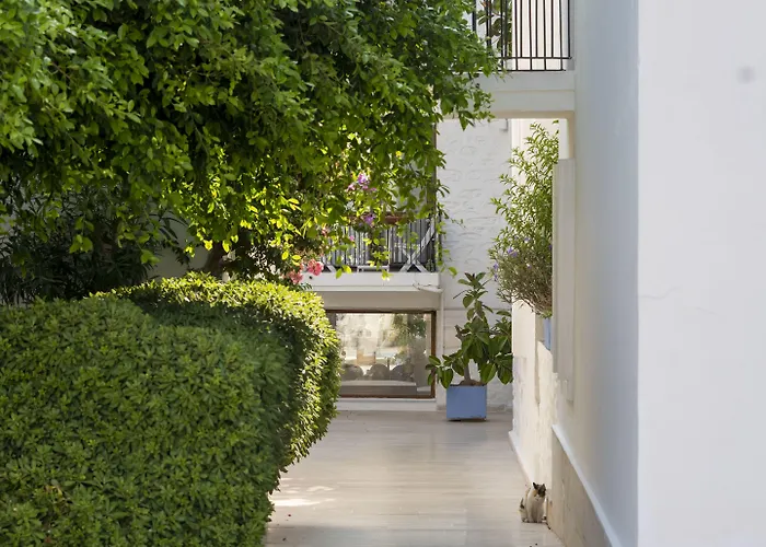 Seckin Konaklar 3* בודרום